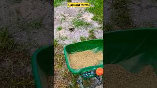 how to fix dead spot in your lawn lawn florida yard handcockseeds lawncare shorts bahai [upl. by Nyrak442]