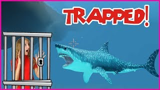 Trapped in a SHARK CAGE [upl. by Nilre498]