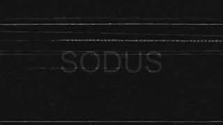 Sodus by Cemeteries but youre tired of everything [upl. by Daenis]