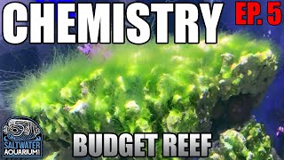 CHEMISTRY in a Budget Reef Tank  Nitrates Phosphates amp Alkalinity [upl. by Arretnahs]