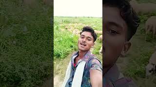 Dil Mera Dil bekarar Ho Gaya kuldeep hindi song [upl. by Hickie]