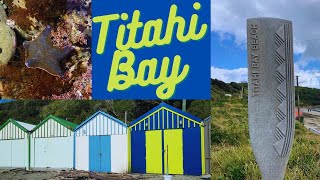 Titahi Bay Beach Porirua NZ  Walking Tour  Drone Footage  New Zealand [upl. by Hamilton424]