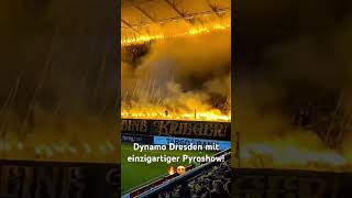 TOP oder FLOP Dynamo Dresden foryou fyp viralvideo viralshorts tiktok youtubeshorts [upl. by Corel388]