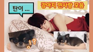 김우석 우석이만 진심인 탄이 찐사랑 모음 🐶 [upl. by Nylarahs663]