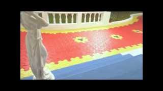 INDIGO Paints Floor Coat Paint TVC Bengali [upl. by Arianne]