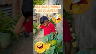 Mathias orina las plantas [upl. by Mathre]