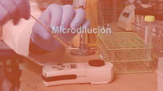 5 Pruebas de susceptibilidad a los antimicrobianos Método de dilución en caldo [upl. by Auqinom]