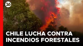 CHILE  Bomberos luchan contra incendios forestales [upl. by Smail311]