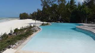 Pongwe Beach pool Zanzibar 2012 [upl. by Akcirehs741]