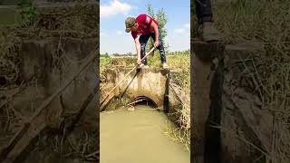 Remove Trash Clogged Culvert Drain unclog remove shortsvideo water flood sorts [upl. by Klement349]