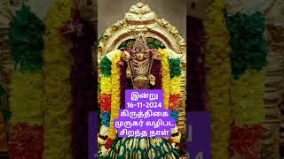 இன்று 16112024 கிருத்திகை முருகர் வழிபட சிறந்த நாள்mohanasundari6221 muruganwhatsappstatustamil [upl. by Johnathon379]