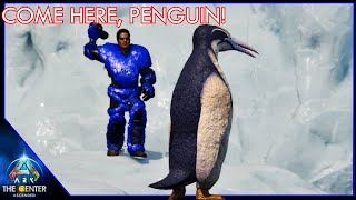 Hunting Penguins In The Snow  Ark The Center EP08 [upl. by Campy]