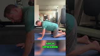 Cat Camel Stretch for Back Pain Disc Bulges and Spinal Mobility  Dr John Zielonka [upl. by Morton]