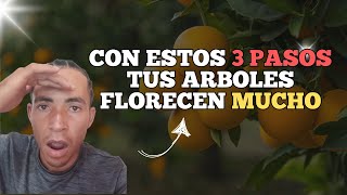 ✔Como hacer FLORECER Aboles FRUTALES  3 Pasos [upl. by Alessig168]