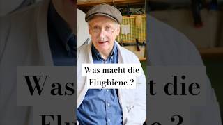 Was macht die Flugbiene  honigbiene hausbiene [upl. by Liv]