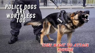 Police dogs Are Worthless Too part 5 of 6 [upl. by Naillig810]