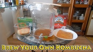 Brew Your Own Kombucha [upl. by Cole641]