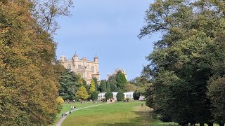 Wollaton Deer Park and Hall historical batman epic wildlife deer nottingham [upl. by Nnaasil539]