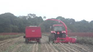 Tractor Kubota Cosechadora de Forraje y Vagon  Su Tractor [upl. by Dohsar]