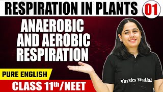 RESPIRATION IN PLANTS 01  Anaerobic amp Aerobic Respiration  Botany  Pure English  Class 11thNEET [upl. by Melesa]