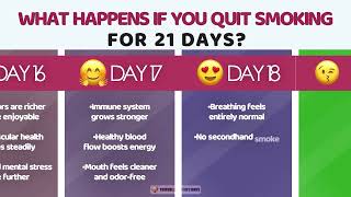 What Happens If You Stop Smoking for 21 Days [upl. by Arze]