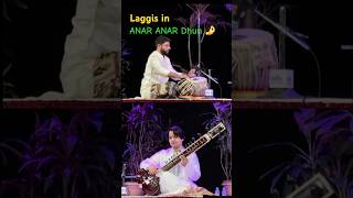 laggi in AnarAnar dhun folkmusic tabla sitar afghanidhun tejovrushjoshi mehtabaliniazi [upl. by Aneeram]