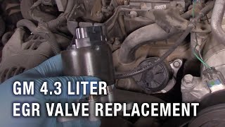 GM 43 Liter EGR Valve Replacement [upl. by Savina]