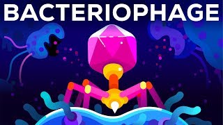 The Deadliest Being on Planet Earth – The Bacteriophage [upl. by Crispen]