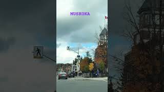 Muskoka downtown 🏘️🏡🏠 [upl. by Ennayt]