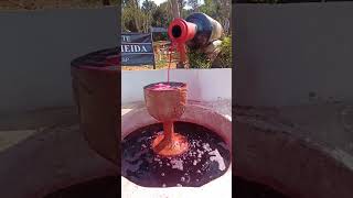 Grapes 🍇 wine 🍷 is flowing from the bottle at Vinicola Cangueira saoroque brazil grape wine [upl. by Neve]