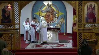 St Maurice Coptic Orthodox Church Live [upl. by Raybin880]