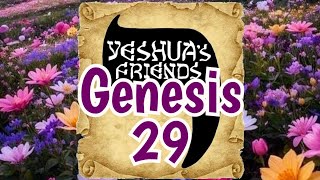 Bible Reading on Genesis 29 CJB Version [upl. by Cyrano760]