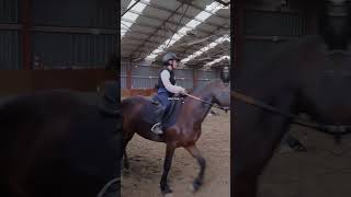 Qui s abonne a ma chaine et que je monte comme lui PaulArthur33 equestrian [upl. by Inaleon]