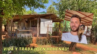 Wie lebt und arbeitet man in Hohenau Paraguay [upl. by Ramu118]