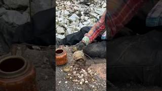 We found a treasure of immeasurable value trapped inside the castle wall 😱  metaldetecting shorts [upl. by Einyaj]