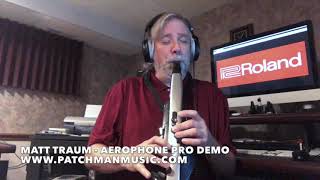 Roland AE30 Aerophone Pro Demo by Matt Traum of Patchman Music [upl. by Rauch]