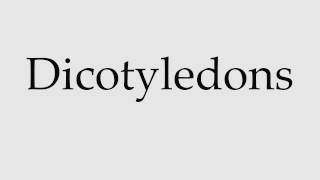 How to Pronounce Dicotyledons [upl. by September241]