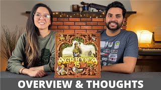 Agricola 15th Anniversary Big Box  Overview amp Thoughts [upl. by Wesle]