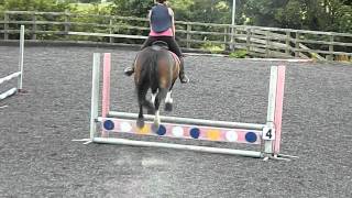 60cm Showjumping Training Finals  3rd Place [upl. by Schlicher]