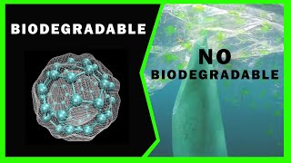 ♻️ Cuál es la DIFERENCIA de un ENVASE BIODEGRADABLE y NO BIODEGRADABLE [upl. by Bishop]