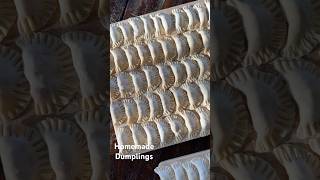 Homemade dumplings [upl. by Aciemaj]