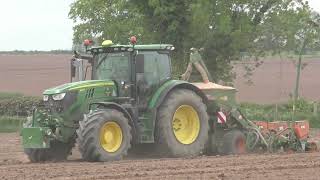 Spring Tillage 2024 Dennehy Harvesting Maize Part 2 [upl. by Venn]