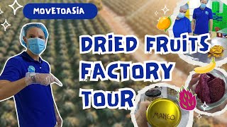 Food Processing Factory Tour  Inside a Dried Fruit Factory in Vietnam  Processed food documentary [upl. by Haila]