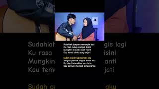 LIRIK LAGU CAMELIA  IRWANSYAH Sudahlah jangan menangis lagi kurasa cukup sampai disini Cover [upl. by Eloci453]