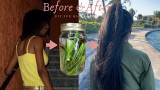 ALOE VERA amp CLOVES HAIR GROWTH OIL  USE TWICE A WEEK FOR LONGER amp THICKER HAIR [upl. by Eseilana]