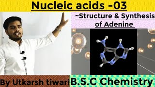 NUCLEIC ACIDS  SYNTHESIS AND STRUCTURE OF ADENINE  N2BASES  BSC ORGANIC CHEMISTRY [upl. by Maddeu39]