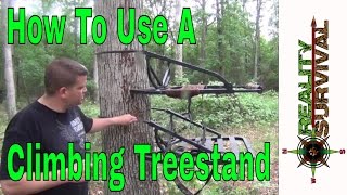 Hunting Tips How To Use A Climbing Tree Stand [upl. by Anni]