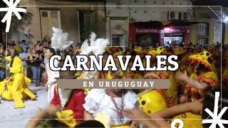 Carnavales y Candombe en Uruguay 🇺🇾 [upl. by Intyre129]