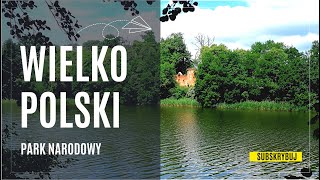 Wielkopolski Park Narodowy  Jezioro Góreckie bezpłatny parking wielkopolska [upl. by Amelina]