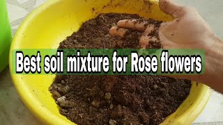 Best soil mixture for rose plant Rose plant soil mixture [upl. by Anen532]